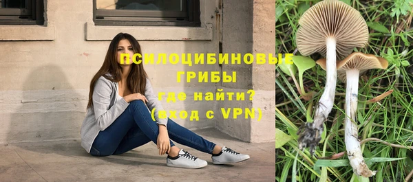 герыч Ростов